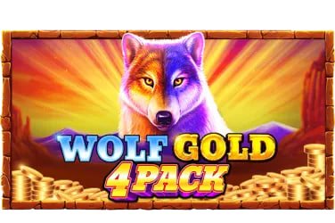 Responsible gaming message on pkokok covering budget time and adults only use